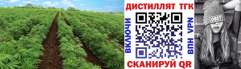 Дистиллят ТГК гашишное масло  что такое наркотик  Советский 